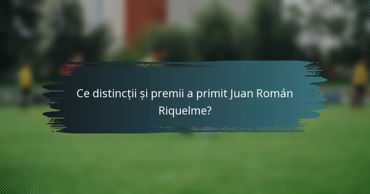 Ce distincții și premii a primit Juan Román Riquelme?